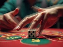 5555bet app