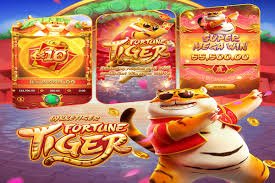 5555bet app